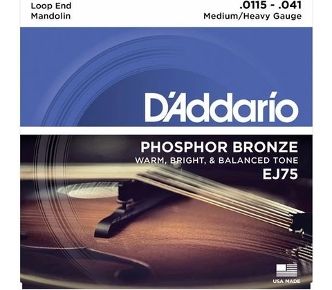 D'addario EJ75
