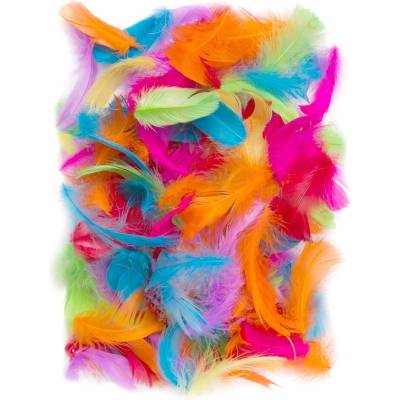 dp Craft Peříčka (10g) zářivý barevný mix