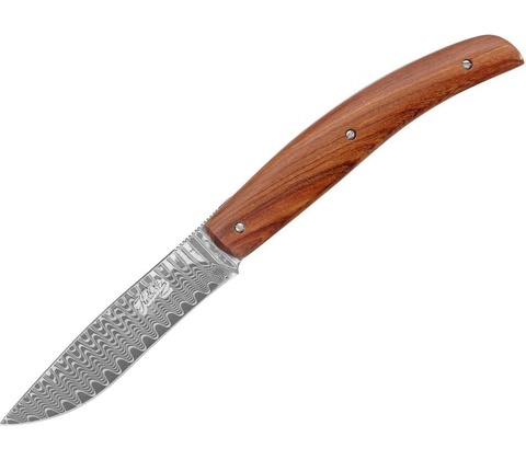 Herbertz 53021