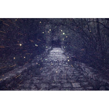 DIMEX ART s. r. o Флизелинов фототапет мистериозна алея 375 x 250 см