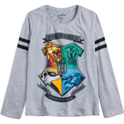 Dievčenské tričko Harry Potter Draco šedé