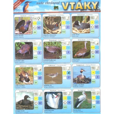 Naše chránené vtáky - karta