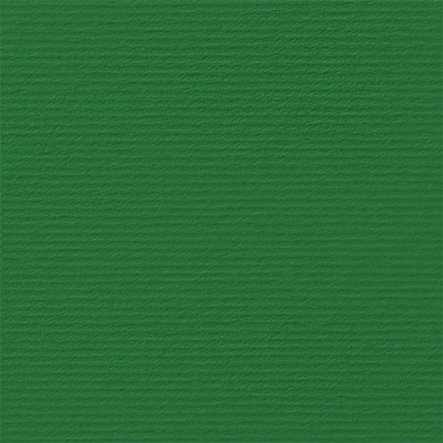 Fabriano Картон Elle Erre, 70 x 100 cm, 220 g/m2, № 111, зел (1535180511)
