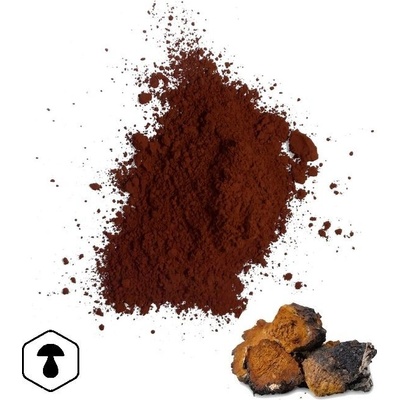 LifeChi Chaga Inonotus obliquus houbový prášek 100 g