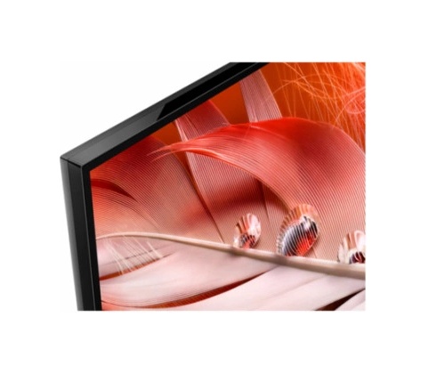 Sony XR-55X90J