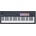 Novation Flkey 2 49