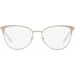Giorgio Armani AX1034 6103