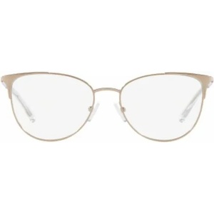 Giorgio Armani AX1034 6103