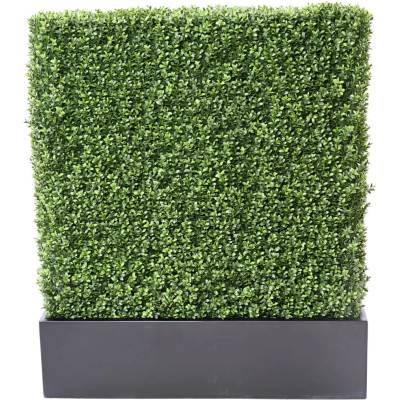 Zástěna buxus 100cm x 60cm