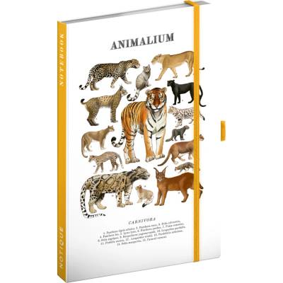 Notes Animalium Kočkovité šelmy linkovaný