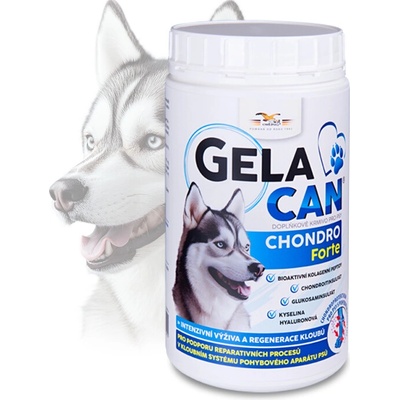 Gelacan Chondro Forte plv 500 g