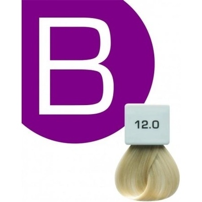 Berrywell farba na vlasy 12.0