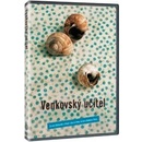 Venkovský učitel DVD