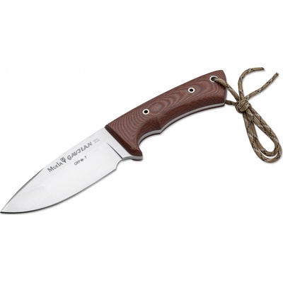 Muela Gavilan 02MU106