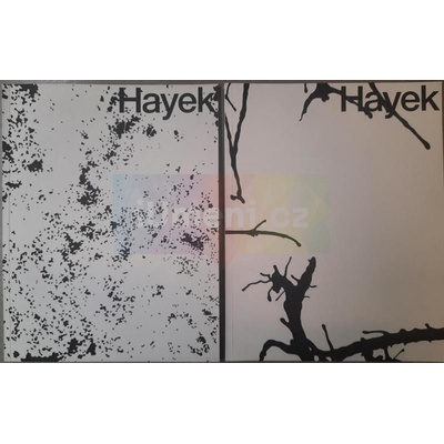 Pavel Hayek | Marta Sylvestrová, Radka Kaclerová