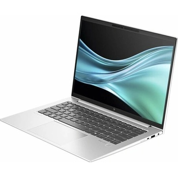 HP EliteBook 845 G11 9G148ET