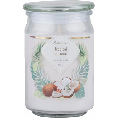 Sconto HAYES tropical coconut 453 g