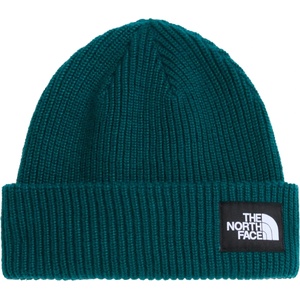 The North Face Мъжка зимна шапка (beanie) The north face Salty Lined Beanie - Pacific Teal - размер One Size (904-4519-1311)
