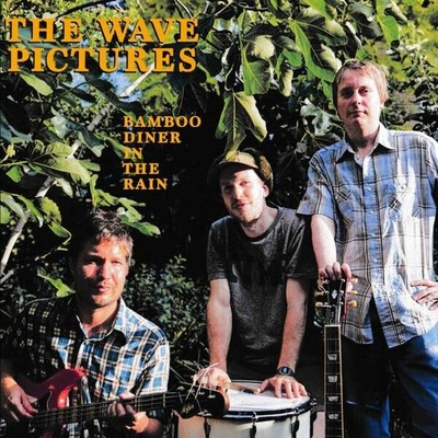 The Wave Pictures - Bamboo Diner In The Rain CD