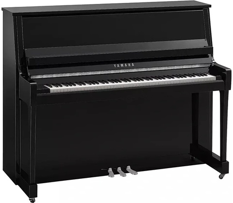 Yamaha B30 PEC