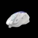 Baracuda ANGLERFISH BGM-062