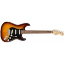 Fender Player Stratocaster Plus Top PF