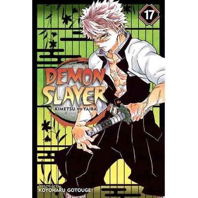Viz Media Demon Slayer: Kimetsu no Yaiba 17