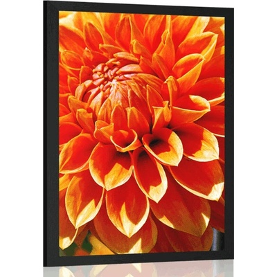 Plakát oranžová dália - 20x30 black