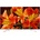 Sony KD-49XF8577SAEP