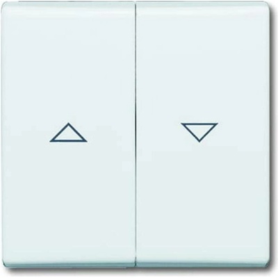 Busch-Jaeger 2CKA001731A1841