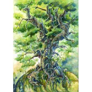 Enjoy - Puzzle Tree of Life - 1 000 piese