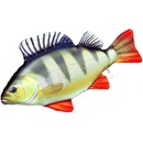 Gaby Vankúš Ostriež Riečny 50