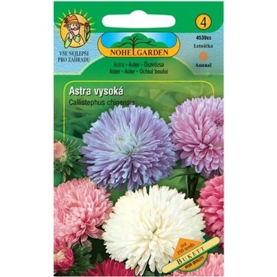 Nohel Garden Astra čínska vysoká BUKETT, zmes