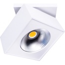 MaxLight C0106