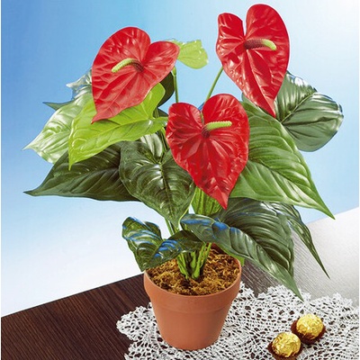 Die moderne Hausfrau Die moderne Hausfrau Umelý kvet - Anthurium / Flamingo