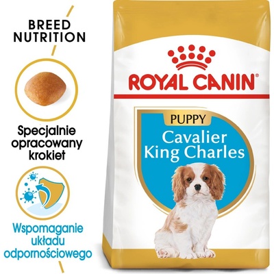Royal Canin Cavalier King Charles Spaniel Puppy 1, 5 кг суха храна за кученца до 10 месеца, порода кавалер кинг чарлз спаниел