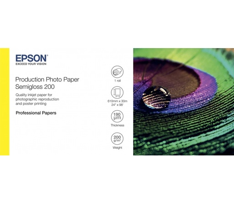 Epson C13S450376