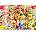 Enjoy - Puzzle Sweet Spring - 1 000 piese