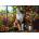 Castorland - Puzzle Blooming Cat Meditation - 1 000 piese