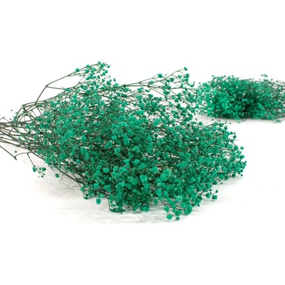 Stabilizovaná gypsomilka – kytica (tyrkysová)