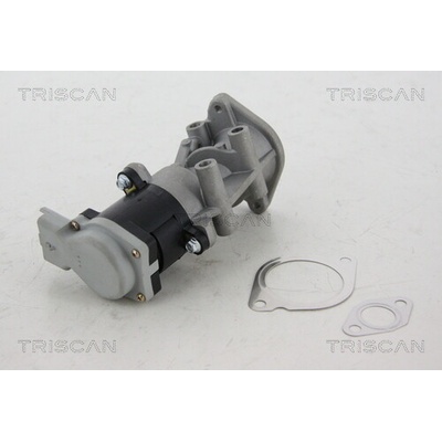 AGR - Ventil TRISCAN 8813 17008