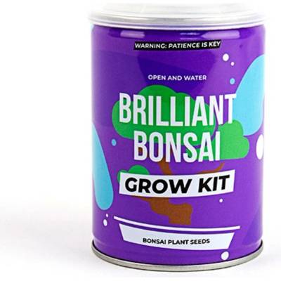GiftRepublic Grow tin Bonsai