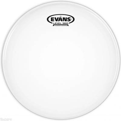 Evans B 12 G 1