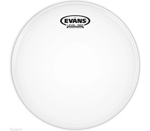 Evans B 12 G 1