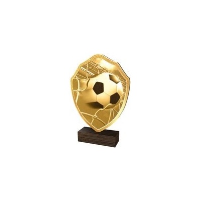 Poháry Bauer Dřevěná plaketa TFRW309 Fotbal