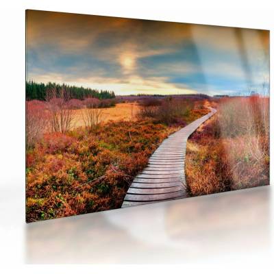 Skleněný obraz - Podzimní cesta krajinou, jednodílný 70x50 cm na skle – Hledejceny.cz