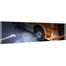 Euro Truck Simulator 2 (Platinum)