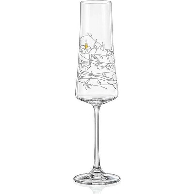 Crystalex GARDEN sklenice na sekt 2 x 210 ml