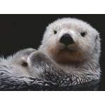 Ravensburger - Puzzle Cute little otter - 500 piese