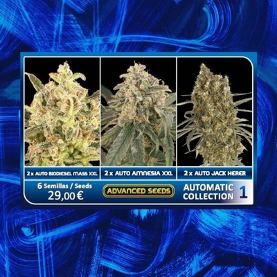 Advanced Seeds Automatic Collection #1 semienka neobsahujú THC 6 ks
